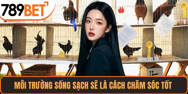 Môi trường sống sạch sẽ là cách chăm sóc tốt