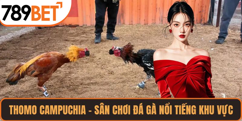 Thomo Campuchia – sân chơi đá gà nổi tiếng khu vực